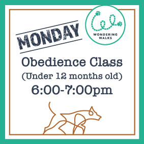 Monday Class Graphic