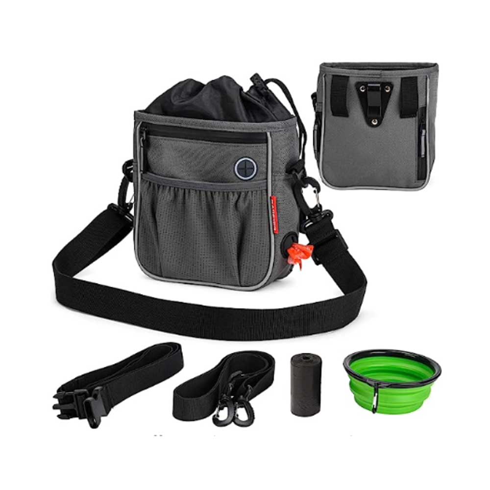 Dog walking bag